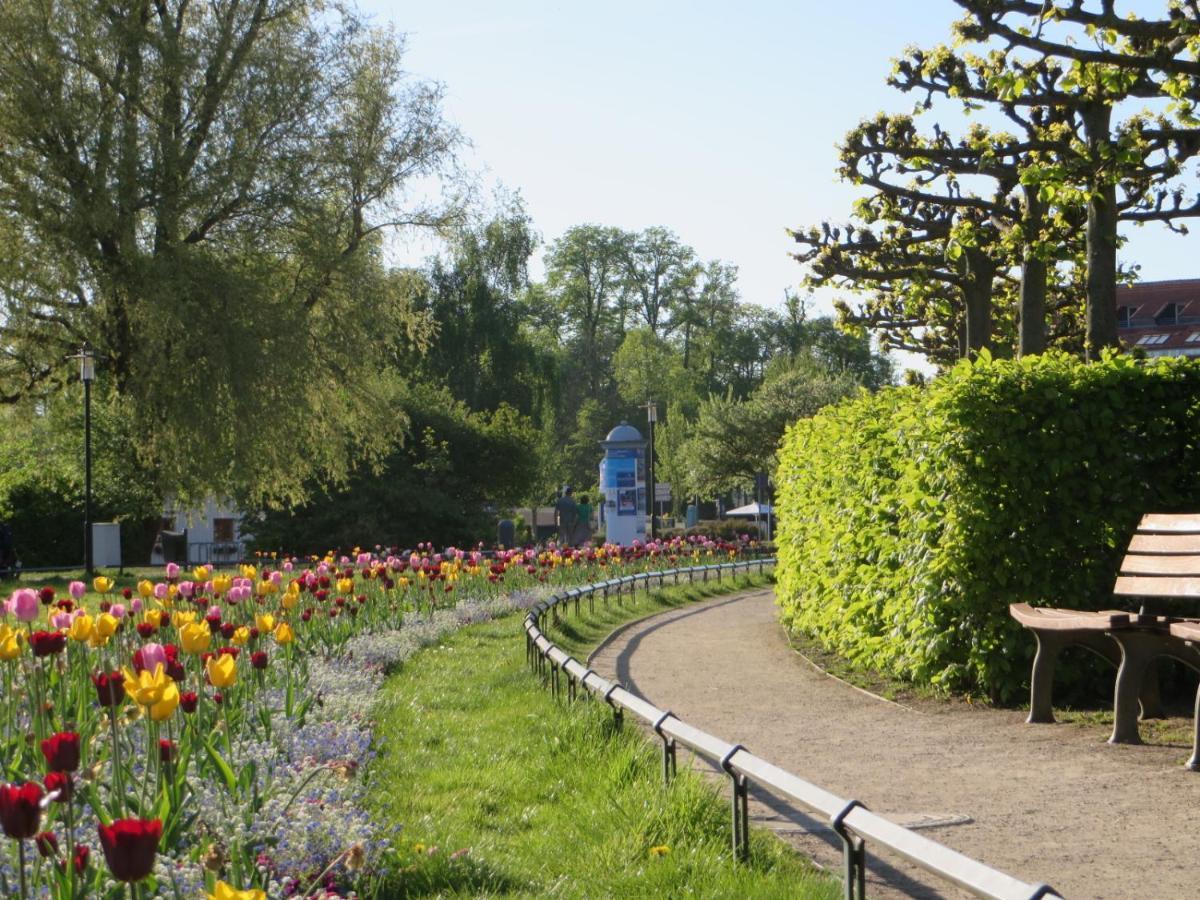 Ferienwohnungen "Marie" Mit Terrassen, Inclusive Park- Und Stellplaetze Am Haus, Mueritz-Strand Nur 700M, Altstadt 10Min, Ruhige Lage, Waren  Extérieur photo